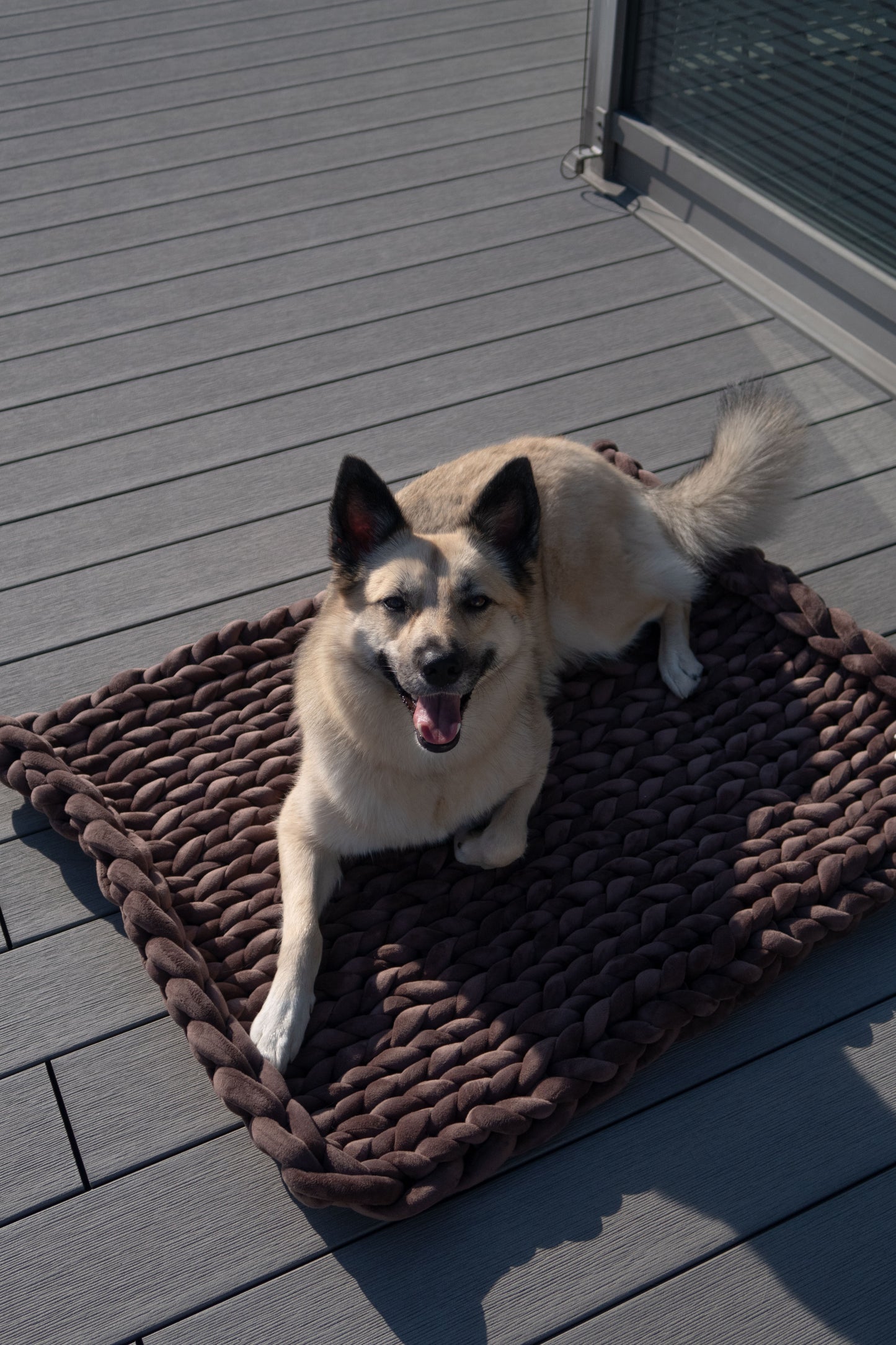 Pet Bed - large